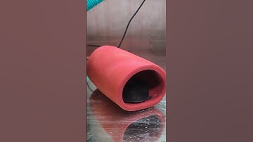 2 rùa mũi lợn nằm đáy hồ cùng Cá ngân long