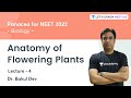 Anatomy of Flowering Plants | Lecture 4 | NEET 2022 | Lets Crack NEET UG | Dr. Bakul Dev