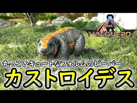 Ark 6 持ち運び可能な木材採取マン カストロイデスをテイム Valguero Ps4版 Youtube