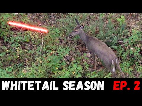 What do you think about this SHOT?? (BOWHUNTING Early Season Whitetails)