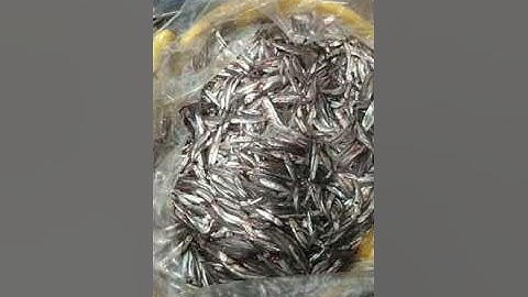 Muối mắm cá cơm miền Trung