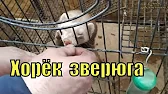 Семья Фетистовых