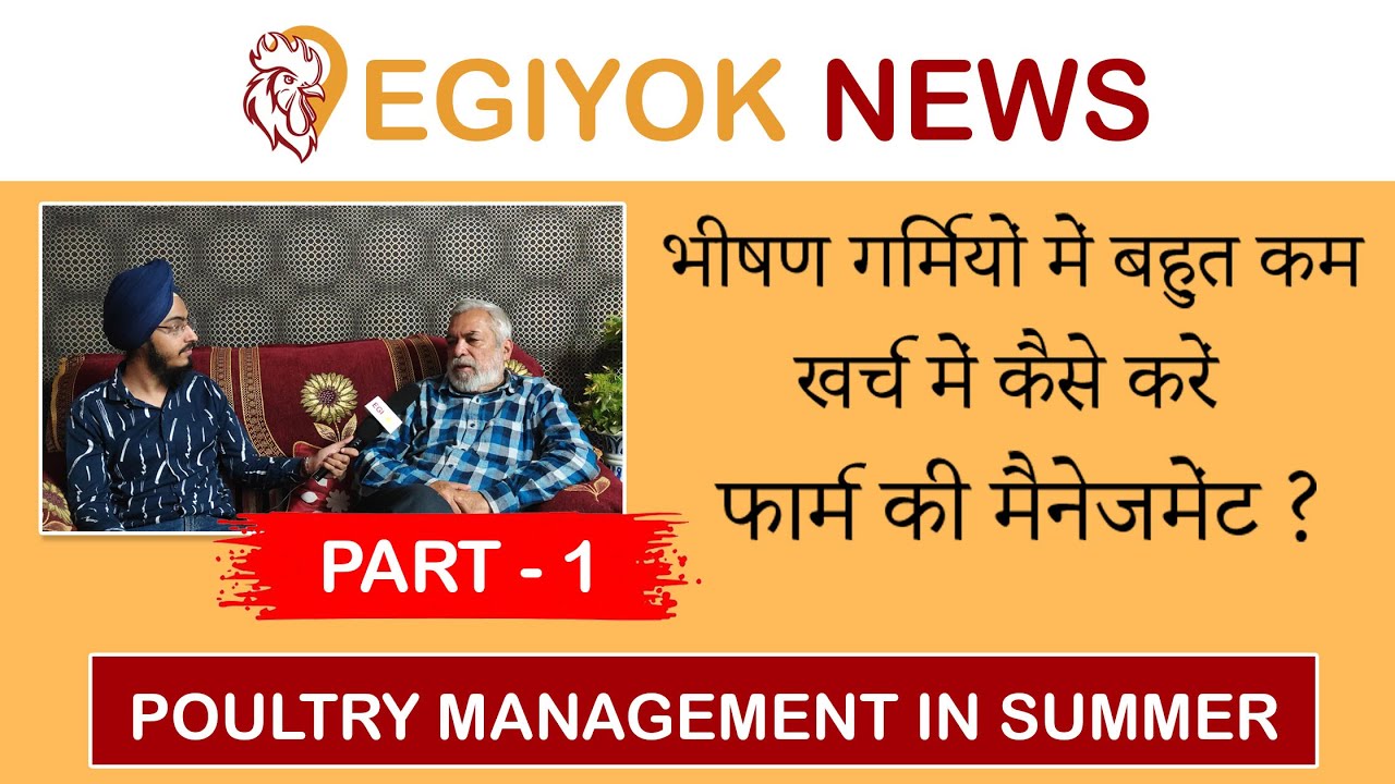 Poultry Farm Management In Summer -1 | भीषण गर्मियों में  कम खर्च में कैसे करें फार्म की मैनेजमेंट?