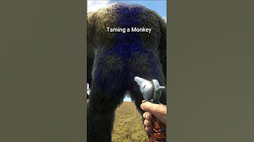 ARK TAMING MONKEY