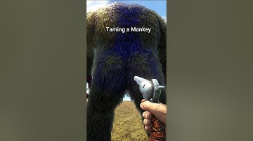 ARK TAMING MONKEY