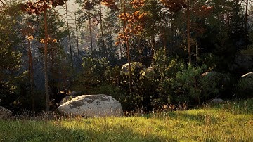 How To Use Landscape Layers With The PCG Biome Core Plugin In Unreal Engine 5.4