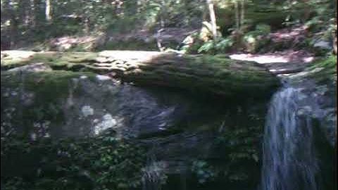 Grasstree Creek, Ewingar State Forest, Northern N.S.W