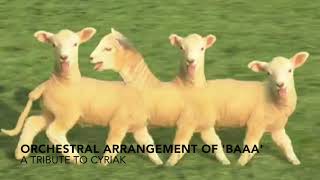 Cyriak 'Baaa' Orchestral Arrangement