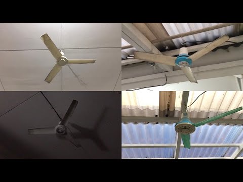 Archive Video: Fans