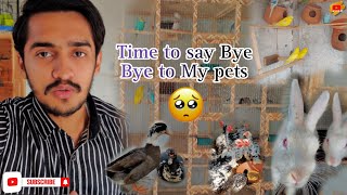 Time to say BYE BYE to my some pets || SA Life