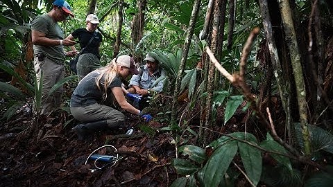 Advancing Science + Access and Benefit Sharing