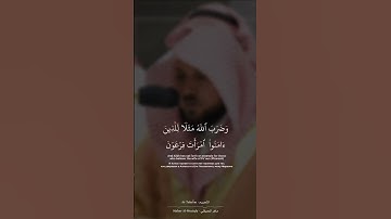 #_القرآن #الشيخ ماهر المعيقلي خواتيم سورة التحريم