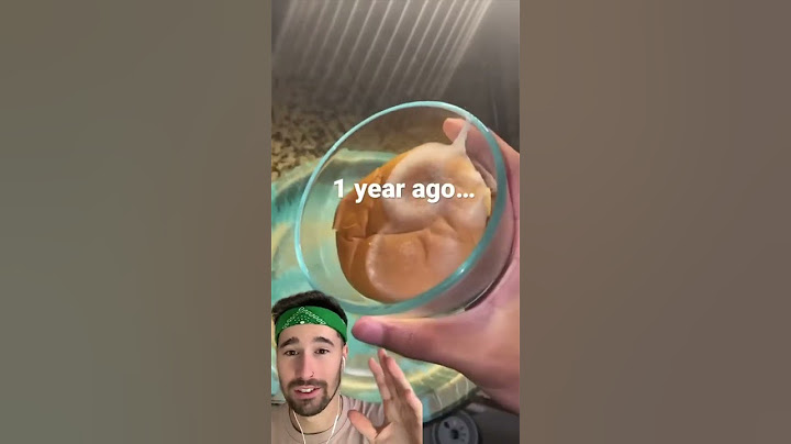 ¿Qué pasa si GUARDAS una HAMBURGUESA del MCDONALDS durante 1 AÑO?