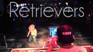 Harlem Shake vRetrievers (Georgia Southern University) 1080p HD