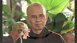 Breathe,  A Ven.Thich Nhat Hanh Tribute