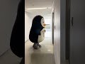 ホゴちゃんとサラちゃん、通れるかな？