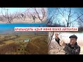 АРАВАНДАГЫ АДЫРДЫ МӨМӨ БАККА АЙЛАНДЫРГАН БАГБАН// БАКТЫ ТУУРА БУТООНУ ҮЙРӨНҮҢҮЗ