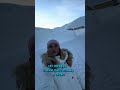 А он что?