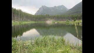 Greenough Lake campground by Red Lodge MT off 212 to Yellowstone over Beartooth pass