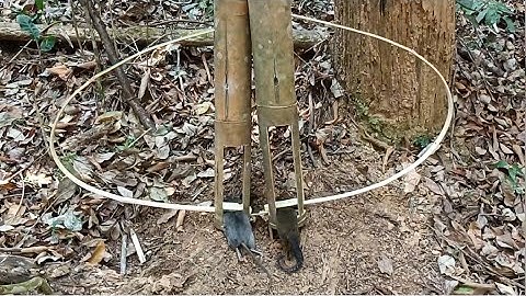 Create bamboo trap to catch Squirrel and rat in the forest