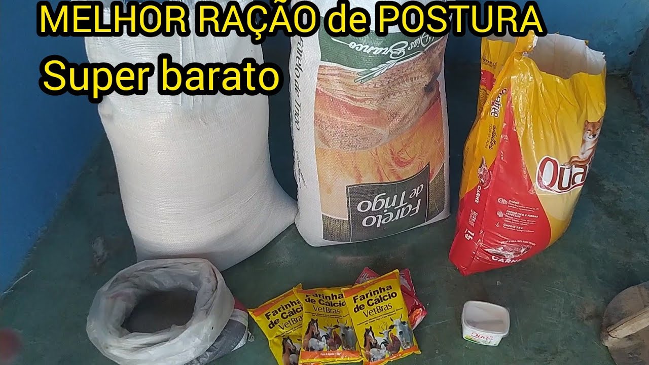 COMO FAZER RAÇÃO DE POSTURA para CODORNA - PASSO A PASSO - Super Barato