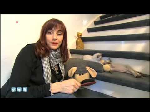 Vídeo: LaPerm Breed Cat Hipoalergènic, De Salut I De Vida