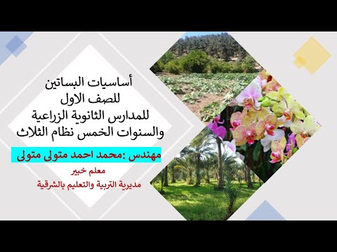 الاهمية الاقتصادية والتوزيع الجغرافى وتقسيم الحاصلات البستانية