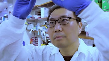 Lab Mannequin Challenge New York 2016