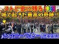 【ストリートピアノ】ストピ史に残る神回⁉️姫路城で起きた最高の奇跡!!『レイニーブルー』徳永英明[姫音祭/streetpiano/姫路城/徳永英明]