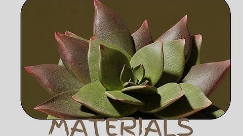 Lecture1 Materials Modelling & Simulation Dual Operating System Installation with out System Reboot