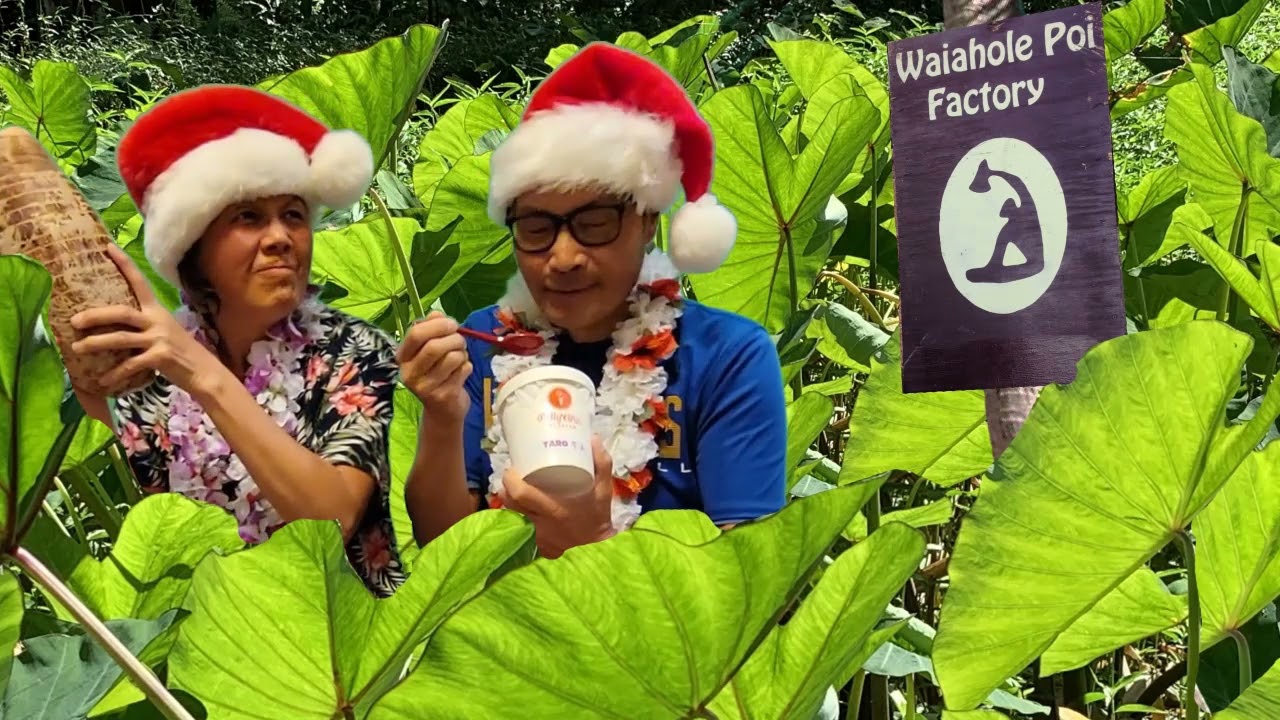 12-days-of-christmas-hawaiian-style-youtube