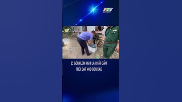 25 gói nilon nghi là chất cấm trôi dạt vào Côn Đảo | PTQ