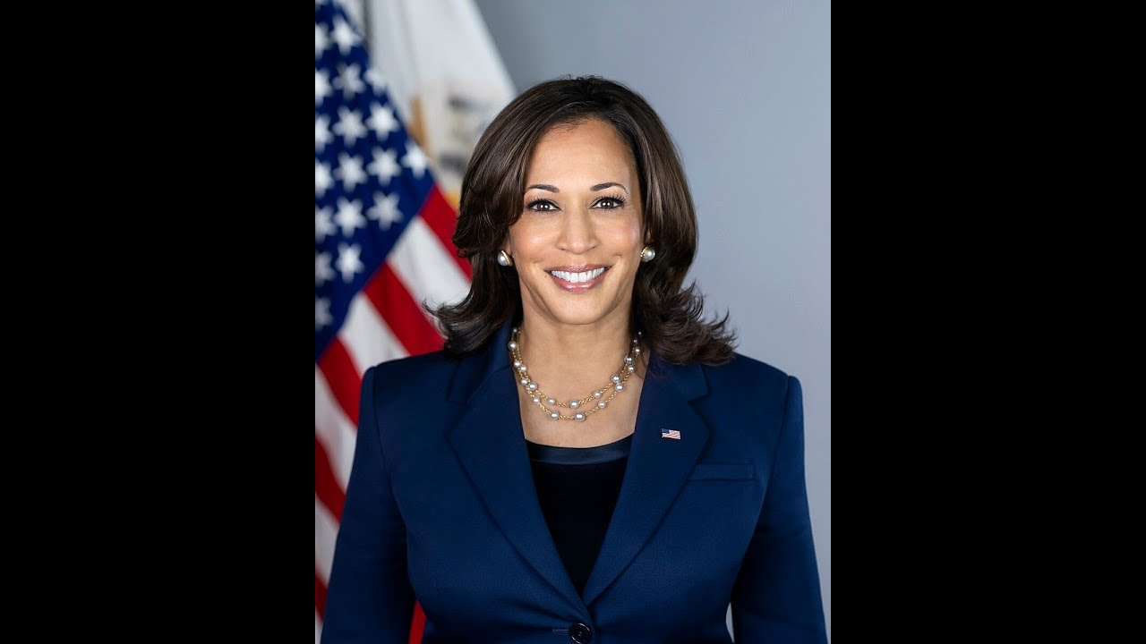 A Few Snippets from Kamala Harris's Forthcoming Book! (THE SAAD TRUTH_1877) - YouTube