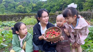 终于等到了！自家种的草莓，带3个孩子一起摘，一起吃