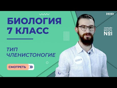 Тип Членистоногие. Урок 13. Биология 7 класс