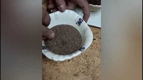 Class 5, science, chapter 7, video 1