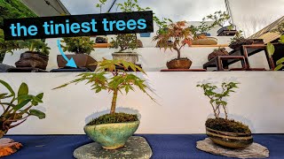 The Cutest Little Trees You'll Ever See! | BonsaiFest