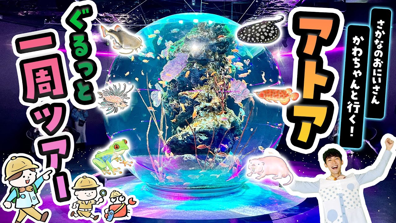 【絶景】行く前に見て！神戸の水族館「アトア」徹底解説ツアー | kobe aquarium átoa