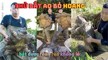 Khám Phá Ao Cá Bỏ Hoang – Bất Ngờ Bắt Được Nhiều Rùa Khổng Lồ!