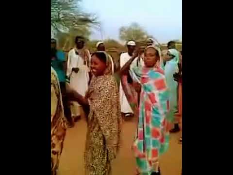 سيب الزعل سيب الخصام سيبو تعال حاجة تفتح النفس وتروق البال تراث كردفاني قبيلة حمر