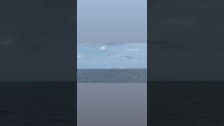 Space launch
