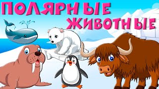 Арктика для детей. Животные Севера - учим животных.