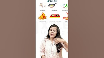 Types of Changes !! | Xylem Class 6