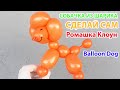 СОБАЧКА ИЗ ДЛИННОГО ШАРИКА как сделать Balloon Animal Dog TUTORIAL uno perrito con globos