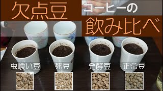 【欠点豆100％】欠点豆だけで淹れたコーヒーを飲み比べてみた【虫食い/発酵/カビ豆】