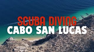Scuba Diving Cabo San Lucas 2024