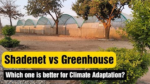 Which one is better for climate adaptation between a greenhouse and a shadenet?