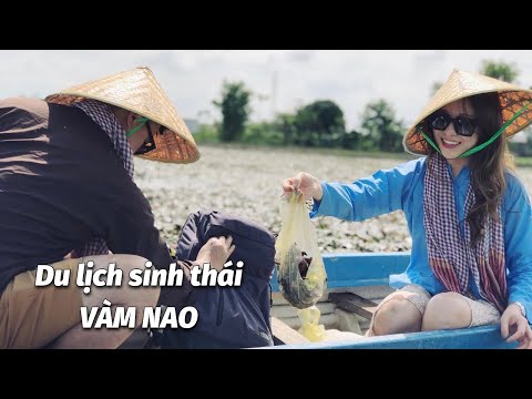 Chèo xuồng hái ấu tại Khu du lịch sinh thái Lòng Hồ Tân Trung | Du lịch Vàm Nao (Phú Tân, An Giang)