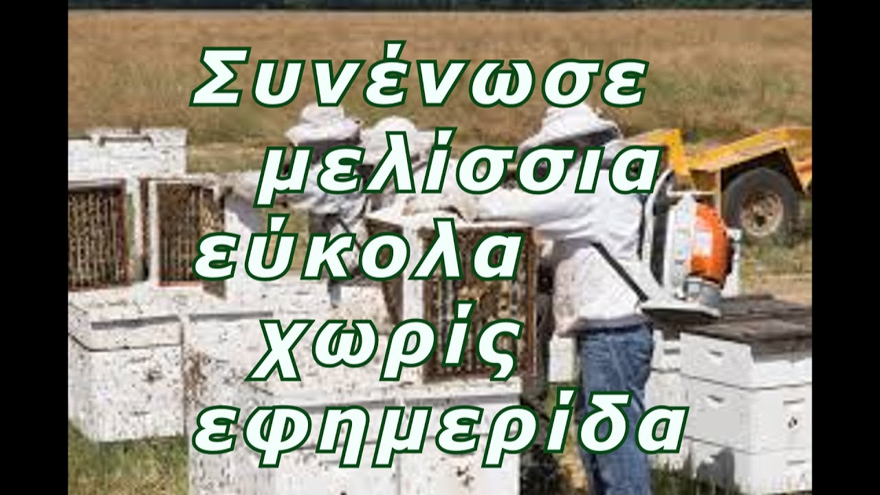 Πως συνενώνω ένα ορφανό μελίσσι και το κάνω δυνατο χωρίς εφημερίδα