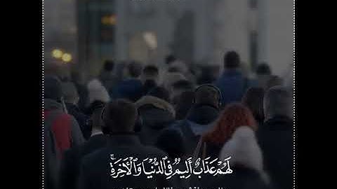 سعد الغامدي | حالات واتس اب دينية سورة النور 🥰💛